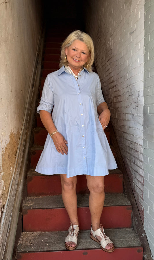 The Poplin Mini Dress